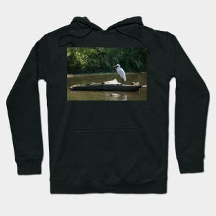 Great White Egret Hoodie